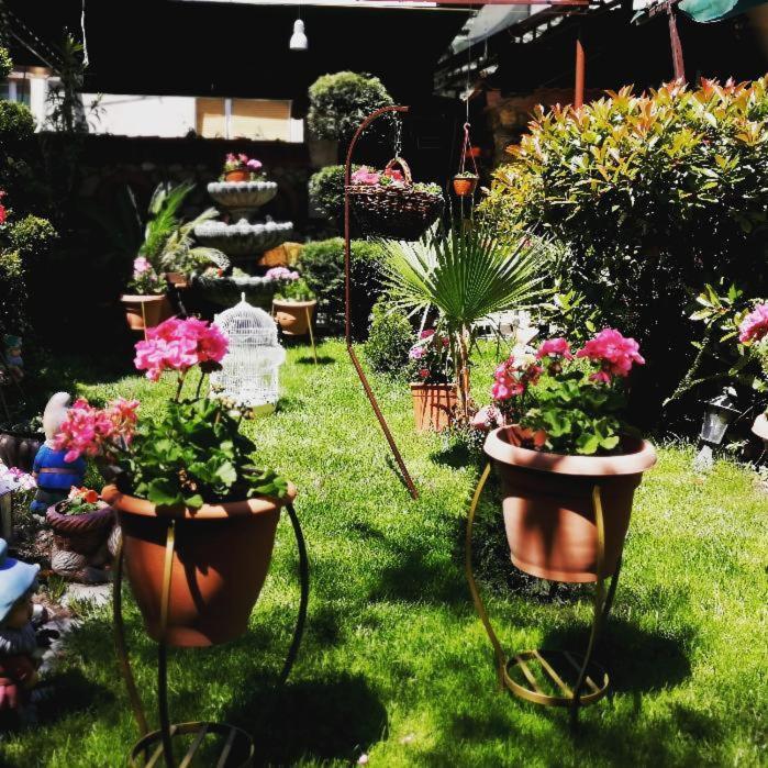 Готель Gala-Garden Бітола Екстер'єр фото